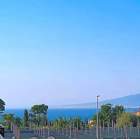 The White Bed & Breakfast Sorrento